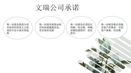 南寧寫可研報告的公司快速通過